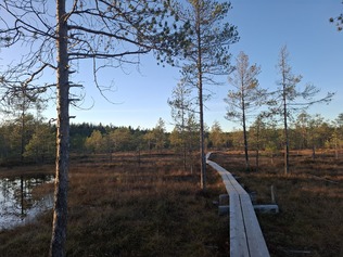 Infotauluja Hatlamminsuolle